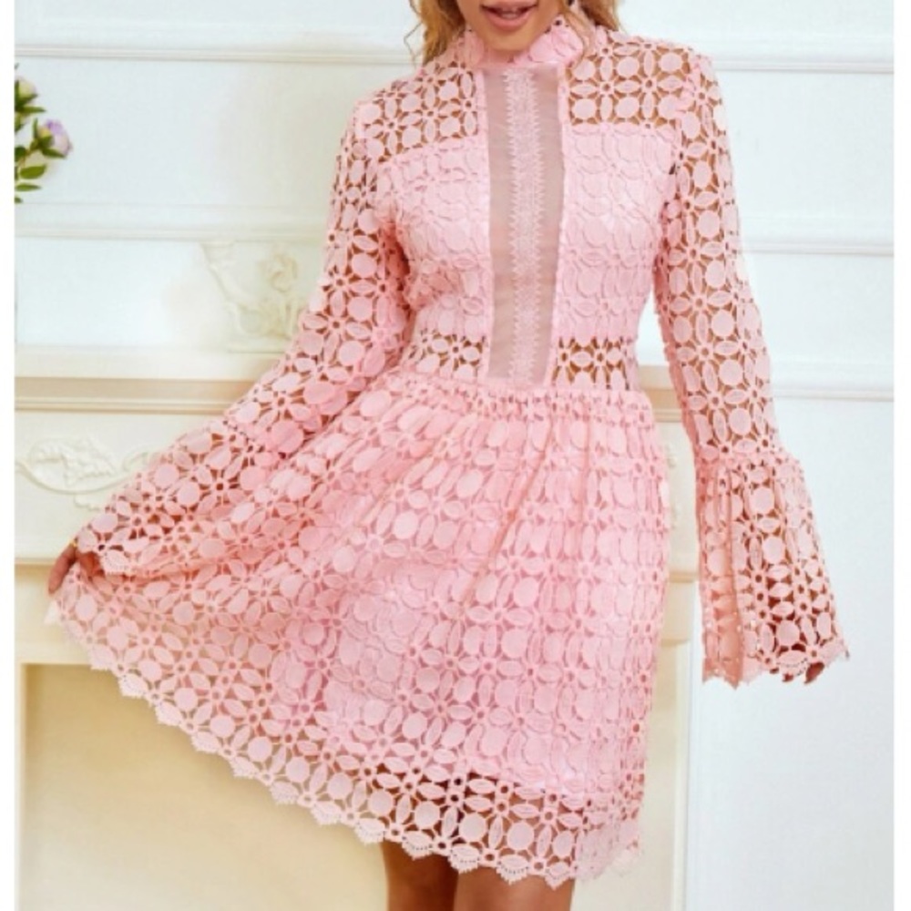Luxurious mesh insert lace dress